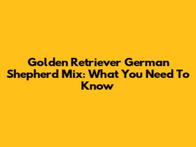 Golden Retriever German Shepherd Mix: What You Need To Know