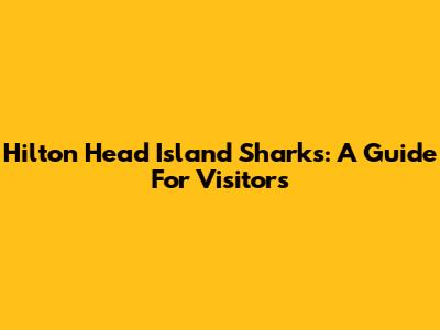 Hilton Head Island Sharks: A Guide For Visitors