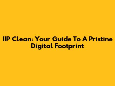 IIP Clean: Your Guide To A Pristine Digital Footprint