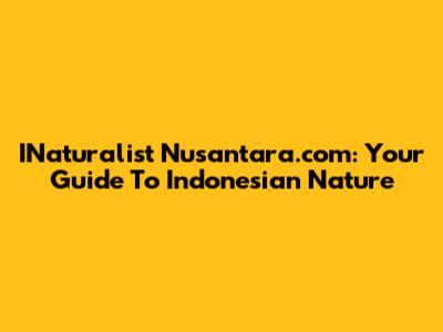 INaturalist Nusantara.com: Your Guide To Indonesian Nature