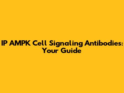 IP AMPK Cell Signaling Antibodies: Your Guide