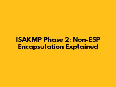 ISAKMP Phase 2: Non-ESP Encapsulation Explained