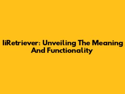 IiRetriever: Unveiling The Meaning And Functionality
