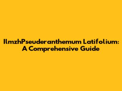 IlmzhPseuderanthemum Latifolium: A Comprehensive Guide