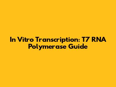 In Vitro Transcription: T7 RNA Polymerase Guide