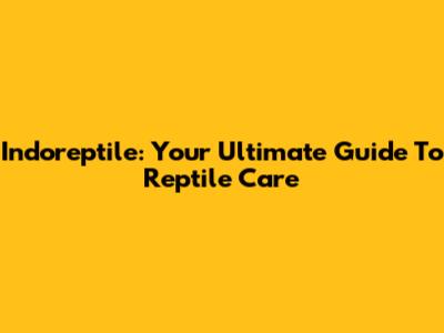 Indoreptile: Your Ultimate Guide To Reptile Care