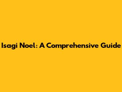 Isagi Noel: A Comprehensive Guide