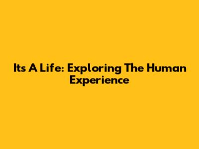 It's A Life: Exploring The Human Experience