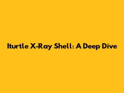 Iturtle X-Ray Shell: A Deep Dive