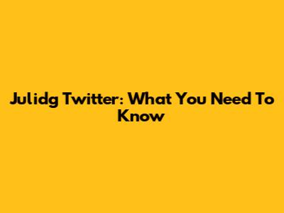 Julidg Twitter: What You Need To Know