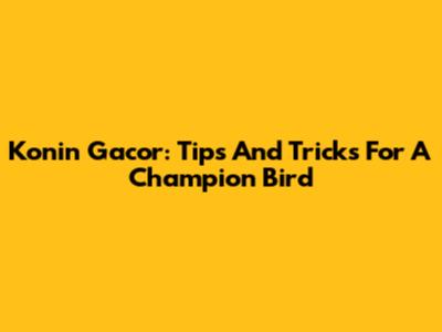 Konin Gacor: Tips And Tricks For A Champion Bird