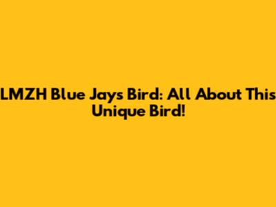 LMZH Blue Jays Bird: All About This Unique Bird!