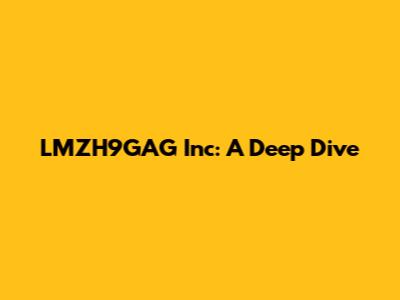 LMZH9GAG Inc: A Deep Dive