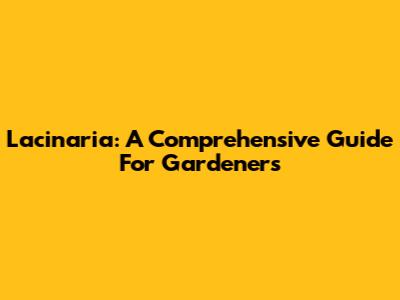 Lacinaria: A Comprehensive Guide For Gardeners