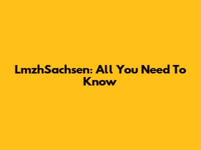 LmzhSachsen: All You Need To Know
