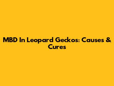MBD In Leopard Geckos: Causes & Cures