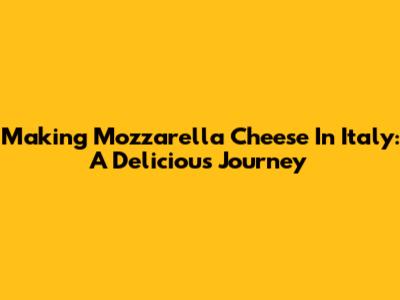 Making Mozzarella Cheese In Italy: A Delicious Journey