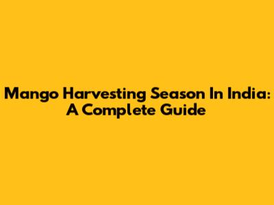Mango Harvesting Season In India: A Complete Guide