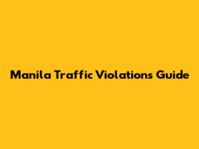 Manila Traffic Violations Guide