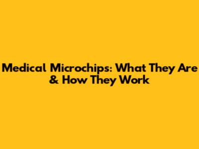 Medical Microchips: What They Are & How They Work