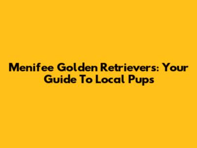 Menifee Golden Retrievers: Your Guide To Local Pups