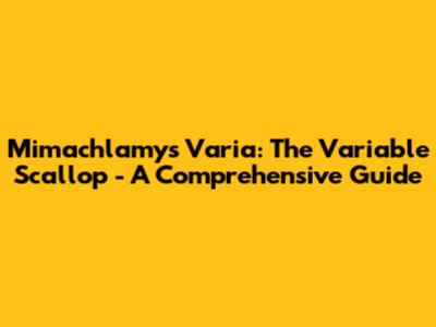 Mimachlamys Varia: The Variable Scallop - A Comprehensive Guide