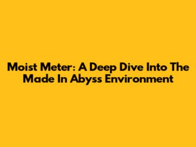 Moist Meter: A Deep Dive Into The Made In Abyss Environment
