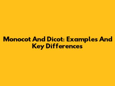 Monocot And Dicot: Examples And Key Differences
