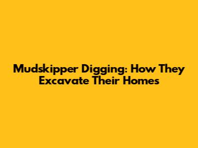 Mudskipper Digging: How They Excavate Their Homes