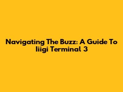 Navigating The Buzz: A Guide To Iiigi Terminal 3