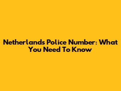 Netherlands Police Number: What You Need To Know