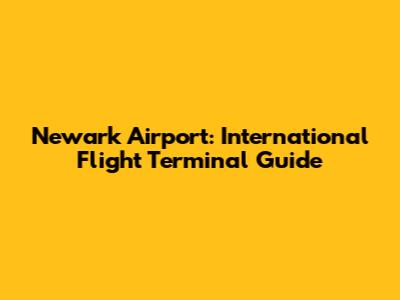 Newark Airport: International Flight Terminal Guide