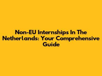 Non-EU Internships In The Netherlands: Your Comprehensive Guide