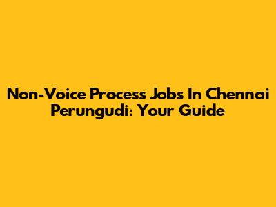 Non-Voice Process Jobs In Chennai Perungudi: Your Guide