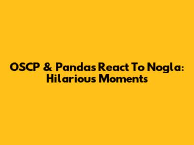 OSCP & Pandas React To Nogla: Hilarious Moments