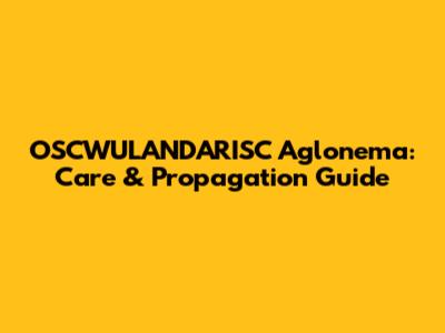 OSCWULANDARISC Aglonema: Care & Propagation Guide
