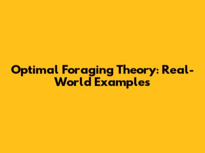 Optimal Foraging Theory: Real-World Examples