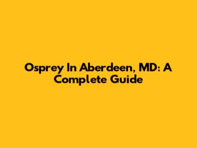 Osprey In Aberdeen, MD: A Complete Guide