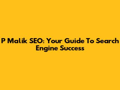 P Malik SEO: Your Guide To Search Engine Success