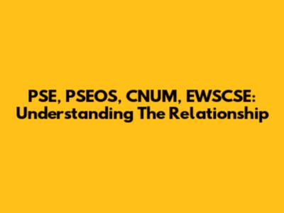 PSE, PSEOS, CNUM, EWSCSE: Understanding The Relationship
