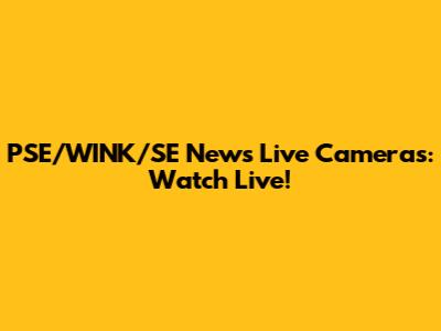 PSE/WINK/SE News Live Cameras: Watch Live!