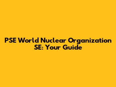 PSE World Nuclear Organization SE: Your Guide