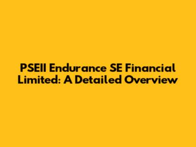 PSEII Endurance SE Financial Limited: A Detailed Overview