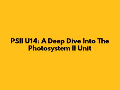 PSII U14: A Deep Dive Into The Photosystem II Unit