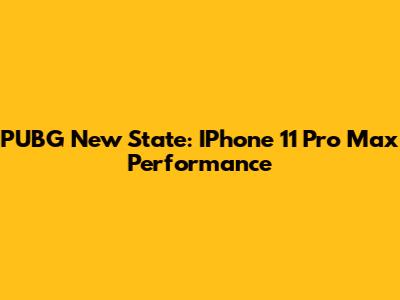 PUBG New State: IPhone 11 Pro Max Performance