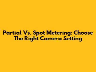 Partial Vs. Spot Metering: Choose The Right Camera Setting
