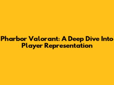 Pharbor Valorant: A Deep Dive Into Player Representation