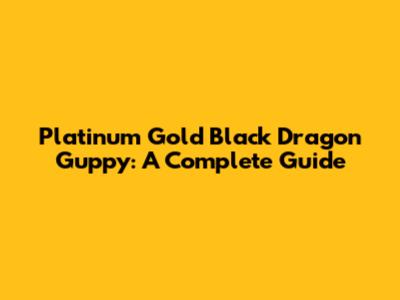 Platinum Gold Black Dragon Guppy: A Complete Guide