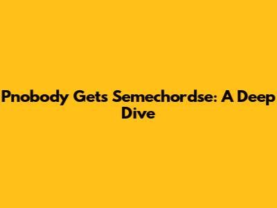 Pnobody Gets Semechordse: A Deep Dive