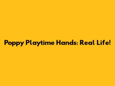 Poppy Playtime Hands: Real Life!